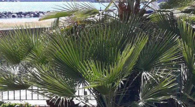 Al giardino SantAnna, Book Hotel Hotels in Sicily with a Pool, Swimming Pool