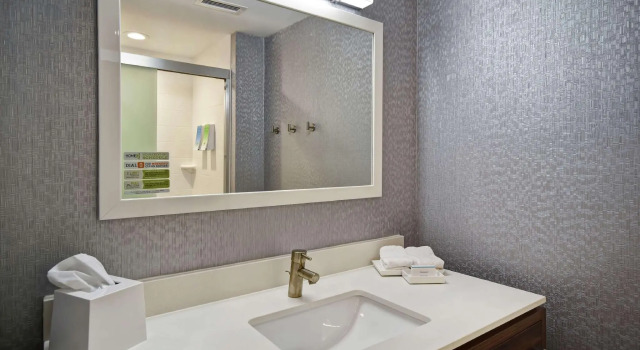 Четырёхместный люкс Home2 Suites By Hilton Georgetown
