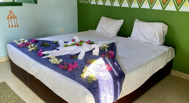 Номер Deluxe Kato Waidi Nubian Resort