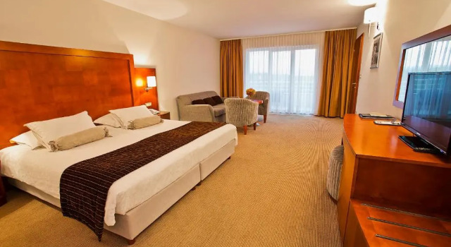 Номер Deluxe Hotel Pinia