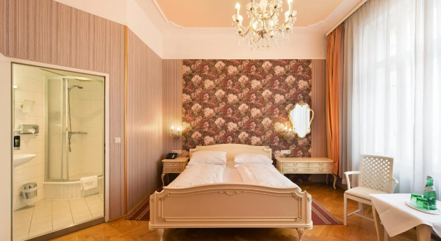 Двухместный номер Standard Hotel Pension Baronesse