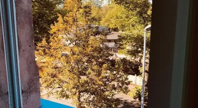 Номер Standard Pension Chevermeto