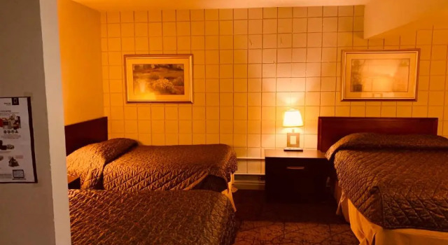 Люкс Red Carpet Inn & Suites