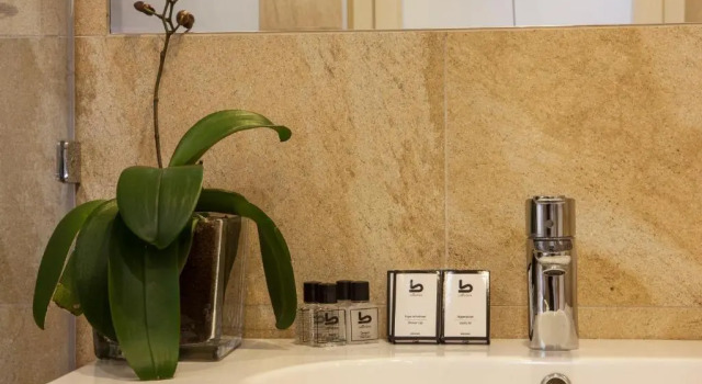Номер Standard Hotel Palisad