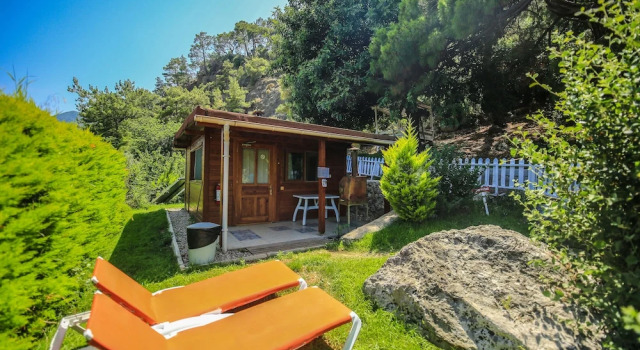 Вилла Cirali Villa Zeytin