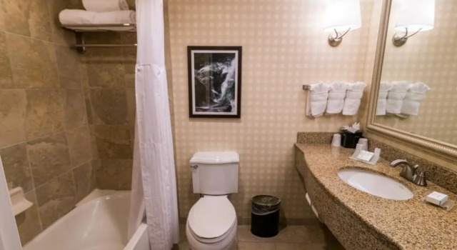 Номер Standard Hilton Garden Inn Bowling Green