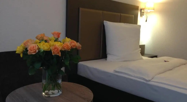 Одноместный номер Standard City Hotel Wiesbaden