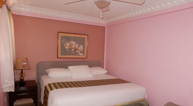 Номер Standard Hôtel Villa Lamarre