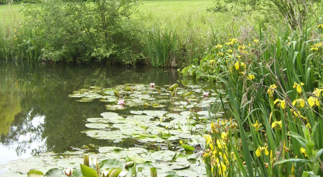 The Hall Farm Bed And Breakfast, Prenota Agriturismo Tilbrook Huntingdonshire