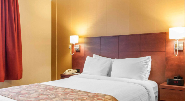 Standardní Dvoulůžkový s manželskou postelí pokoj Hotel Gander