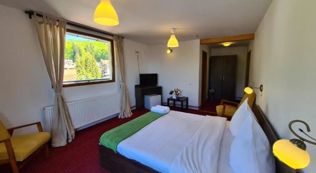 Номер Standard CASA FLORESCU