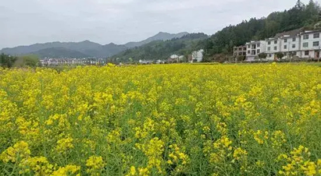 Wuyuan Wanling Inn (Jiangwan Scenic Area), Rezerwuj Hotel Jiangwan Jiangxi