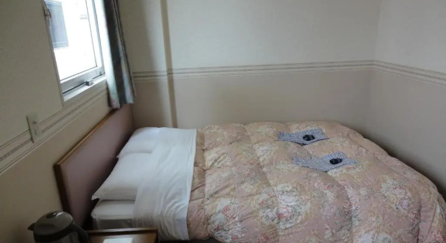 Двухместный номер Standard Matsue Plaza Hotel