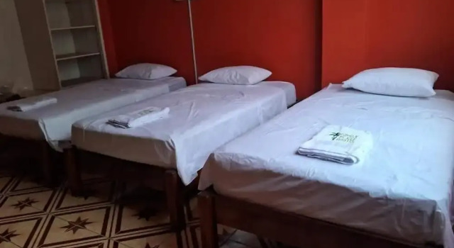 Plaza Jungle Hostel
