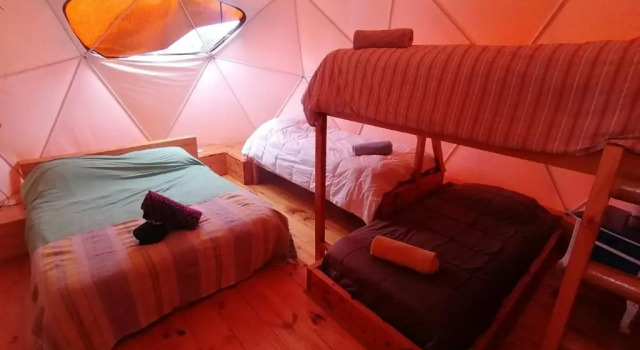 Апартаменты c 1 комнатой с балконом The Sirena Insolente Hostel
