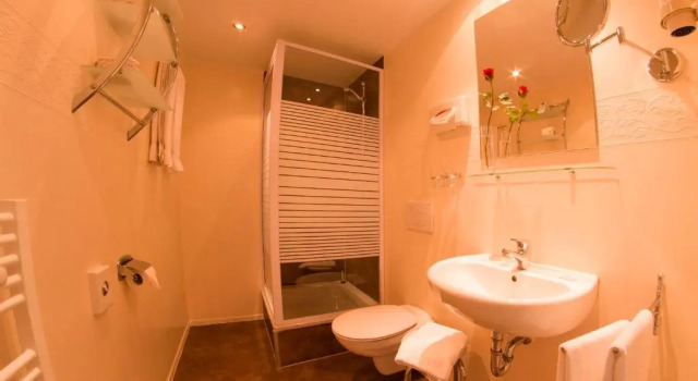 Двухместный номер Standard Ringhotel Lutherhotel Eisenacher Hof