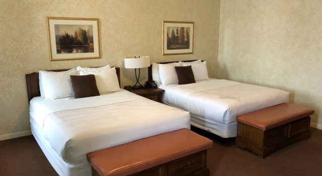 Четырёхместный номер Standard Stearns Hotel