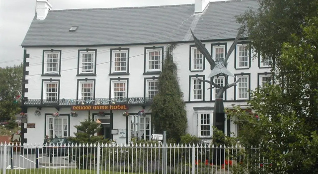 Одноместный номер Standard Neuadd Arms Hotel