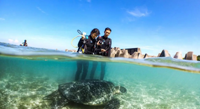 Номер Standard Stay Liuqiu Diving Hostel