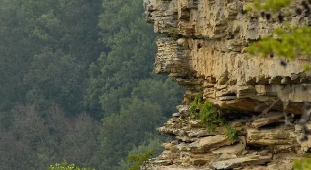 Greeter Falls Lodge Unit 3, Reserva ahora Hotel Altamont Tennessee
