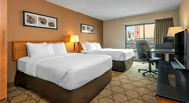 Camera quadrupla Superior Comfort Inn