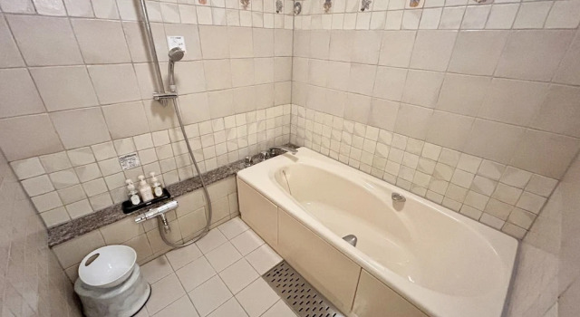 Двухместный номер Deluxe Hotel Pulitzer Jiyugaoka