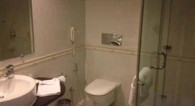 Номер Premier Citrus Manali Resort