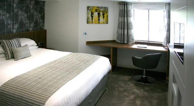 Номер Standard Damon’s Hotel