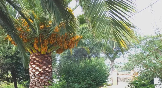 Huerta del Sol, Prenota Hotel  