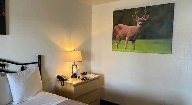 Antlers Inn, Buchen Sie Hotel Chester Kalifornien