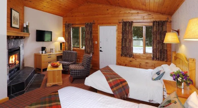 Bear Hill Lodge, Rezervasyon Otel Jasper Jasper National Park