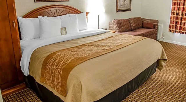 Двухместный номер Business Spark By Hilton Toronto Markham