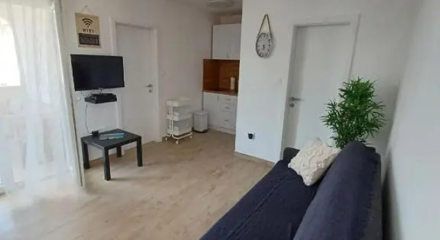 Apartments Sava