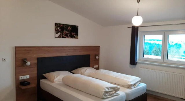 Номер Standard Hotel Schindelberg