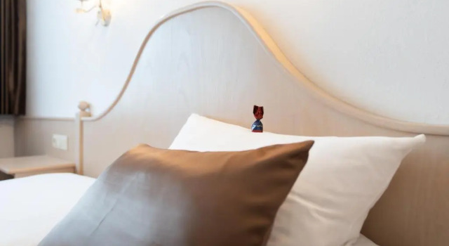 Номер Standard Hotel Eisensteiner Hof