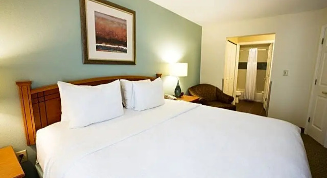 Двухместный люкс Staybridge Suites Houston West - Energy Corridor by IHG