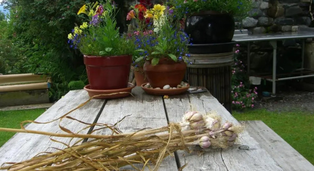 Люкс Brigitte's Bavarian Bed und Breakfast