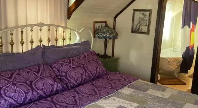 Номер Standard Downtown BnB King Bed Clawfoot Tub & Hot Tub
