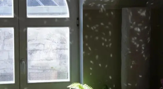 Kuressaare Romantic Apartment, Book Lejlighed Lejligheder i Saaremaa, Lejlighed