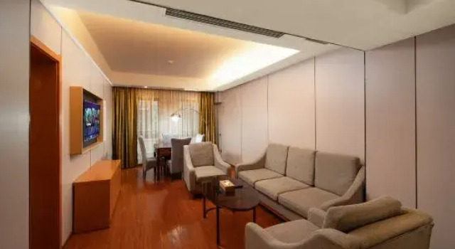 Люкс Business Vienna Hotel (Chizhou Railway Station, Qishan-Pingtian Lake Scenic Area, Guichi District, Chizhou)