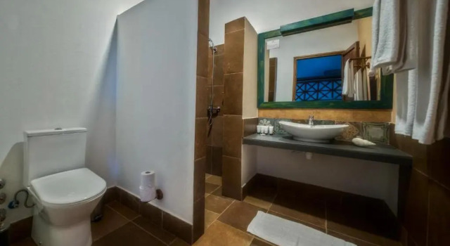 Двухместный номер Standard с видом на океан Zanzibar Queen Hotel