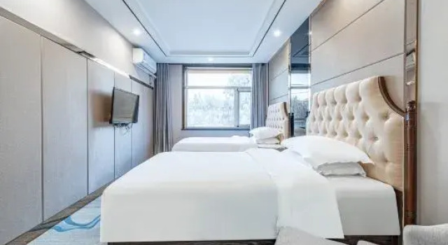 Люкс Lintao Yijing Oriental Hotel