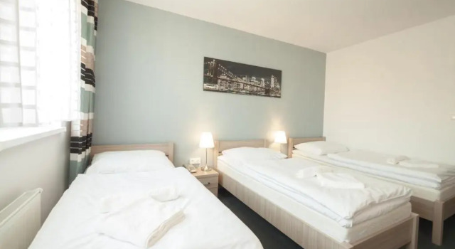 Трёхместный номер Deluxe Interhotel Bohemia