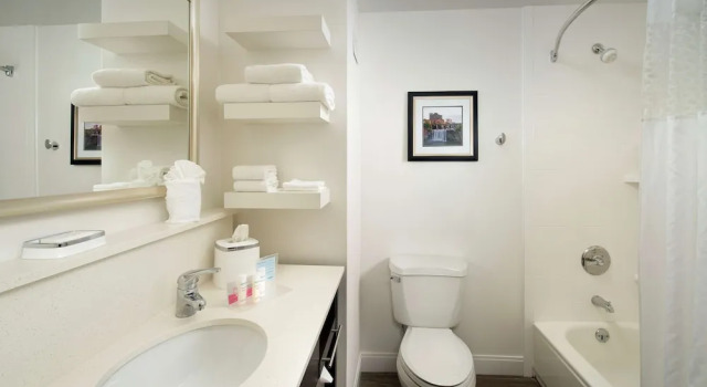 Двухместный люкс Hampton Inn Rochester Greece