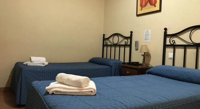 Двухместный номер Standard Hostal El Pilar