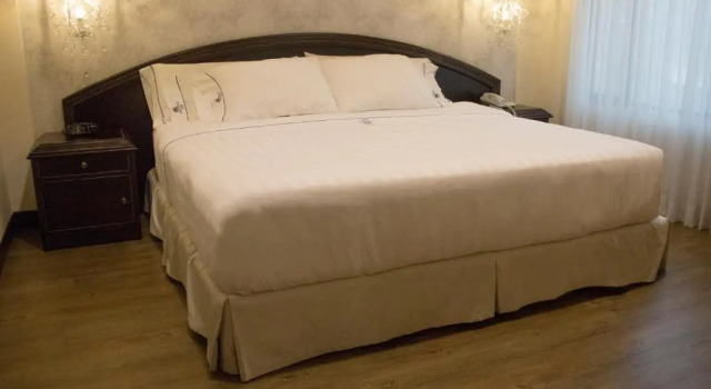 Одноместный номер Standard Hotel Castilla Real