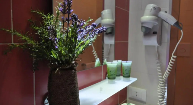 Номер Standard B&B Jasmin