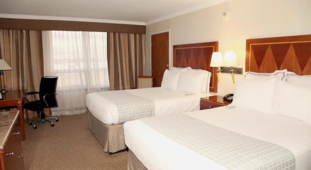 Четырёхместный номер Standard Hotel Executive Suites