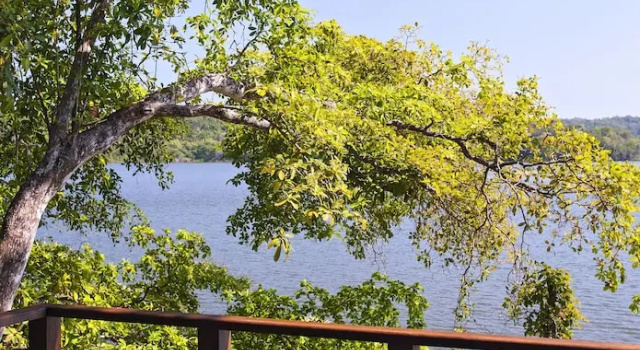 Одноместный люкс с видом на воду Las Lagunas Boutique Hotel