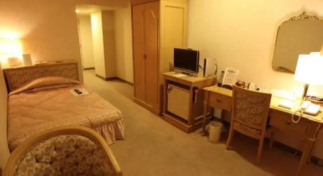 Одноместный номер Standard Nogami President Hotel